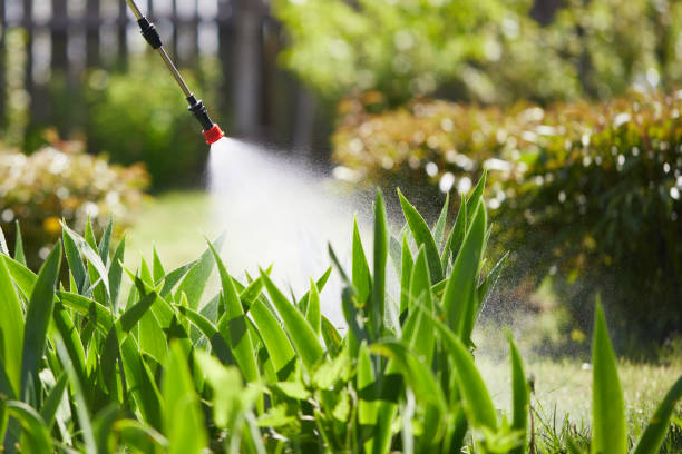 Tamper-Resistant Bait Stations for Rodents in Dacula