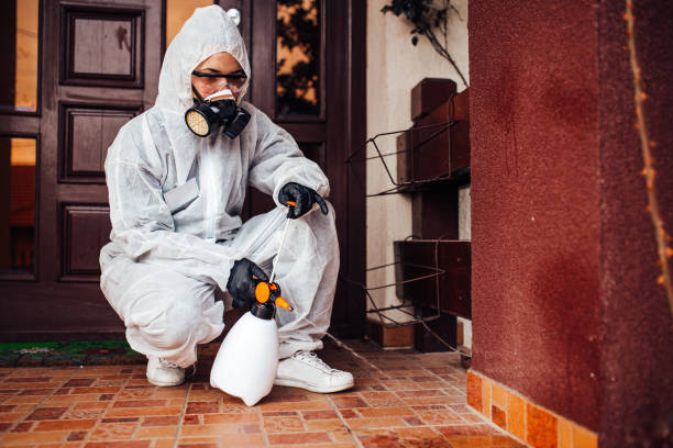 Attic and Crawl Space Rodent Treatment in Dacula
